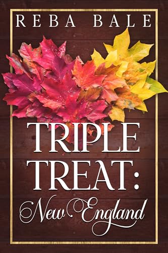 Triple Treat: New England: A 3 Book Menage Romance Collection