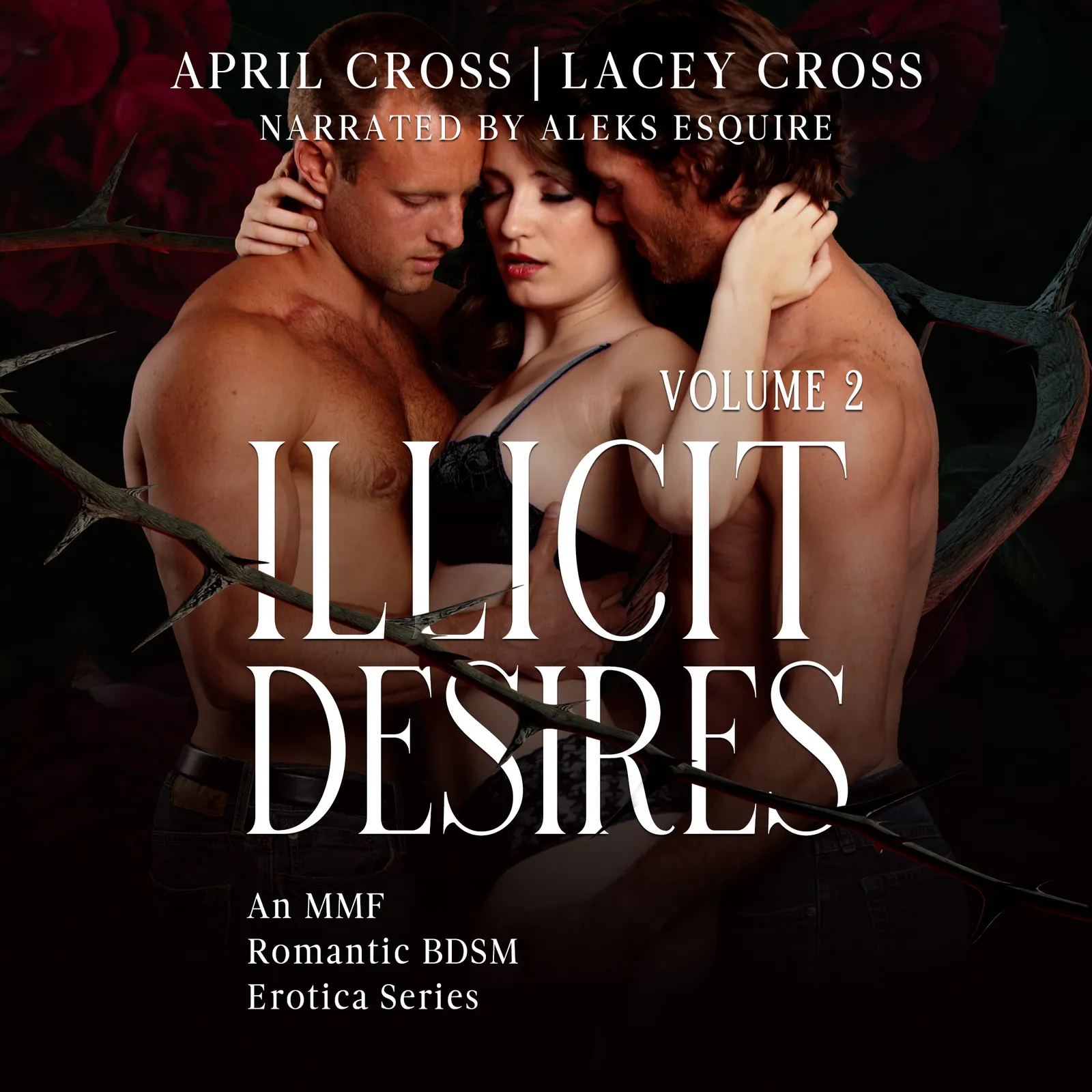 Illicit Desires: Volume 2