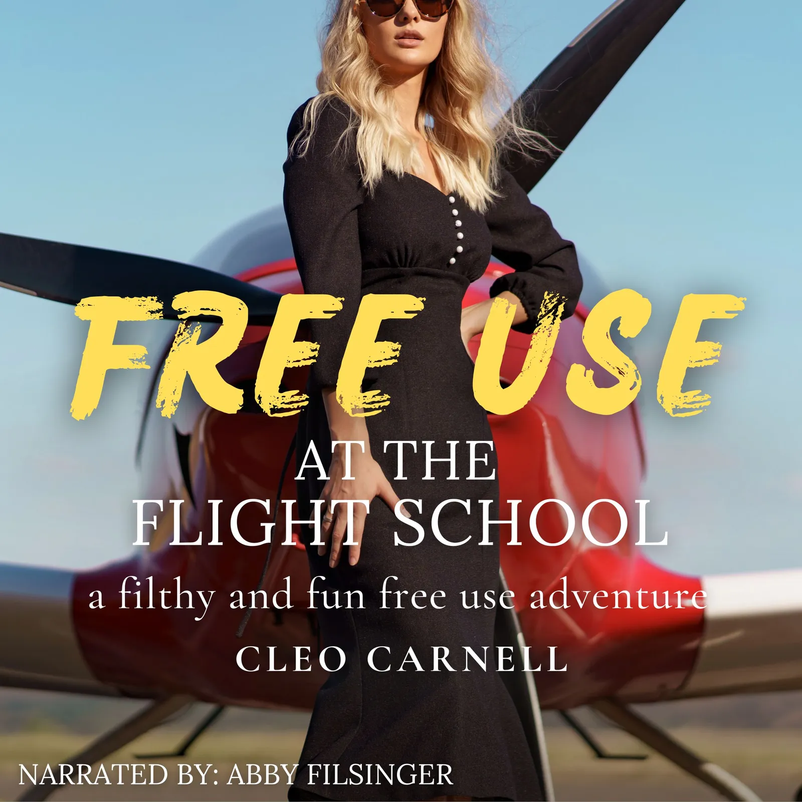 Free Use At The Flight School