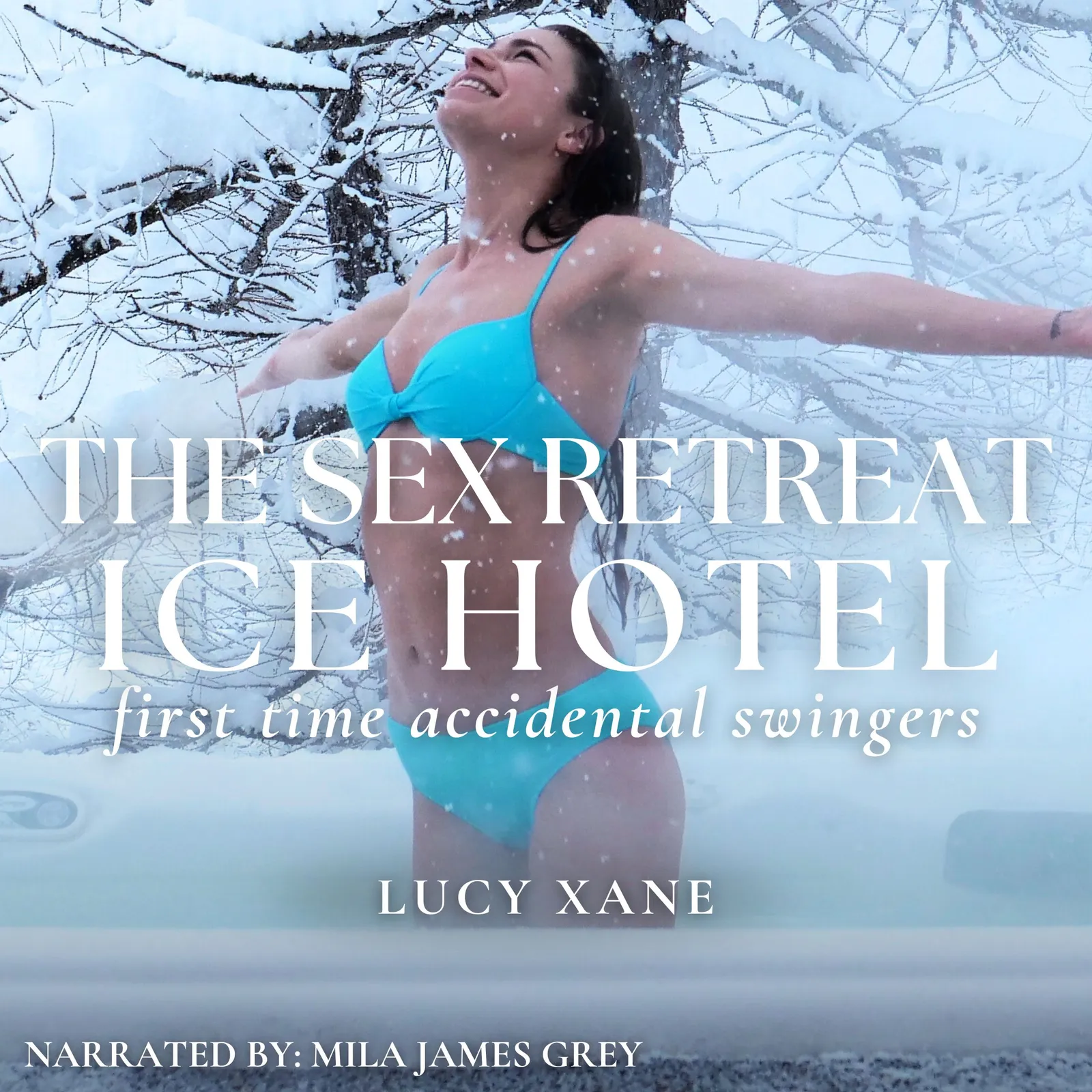 The Sex Retreat - Ice Hotel
